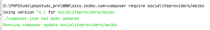 image-20210318210333767